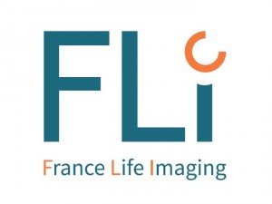 logo FLI