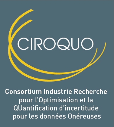 Ciroquo Consortium Industrie Recherche pour l'Optimisation et la Quantification d'Incertitude pour les données onéreuses