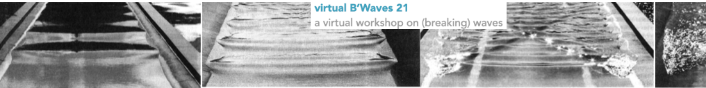 virtual B'Waves21 
